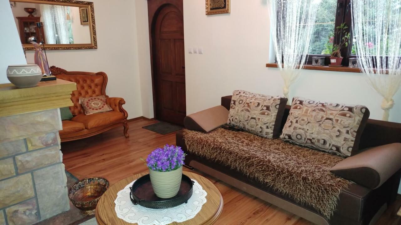 Bieszczadzki Dworek Ustrzyki Dolne Ngoại thất bức ảnh